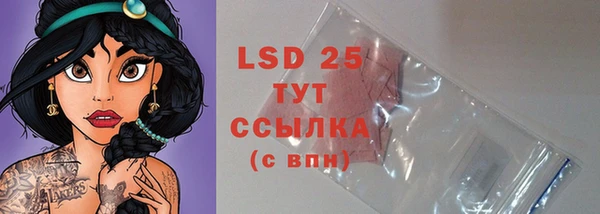 ПСИЛОЦИБИНОВЫЕ ГРИБЫ Кулебаки