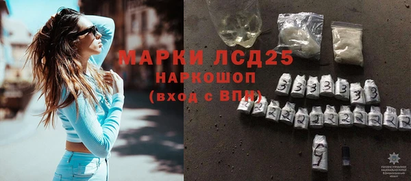 ПСИЛОЦИБИНОВЫЕ ГРИБЫ Кулебаки