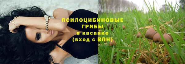 ПСИЛОЦИБИНОВЫЕ ГРИБЫ Кулебаки