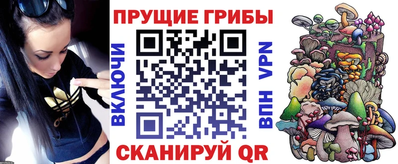 Купить  Козьмодемьянск  Галлюциногенные грибы MAGIC MUSHROOMS 