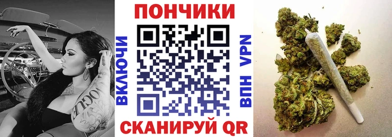 Купить закладки  Козьмодемьянск  Бошки марихуана марихуана 